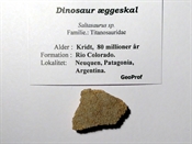 Dinosaur æggeskal